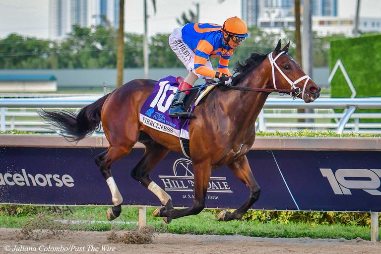 Fierceness skipping to the Florida Derby win. (Juliana Colombo/Past The Wire)