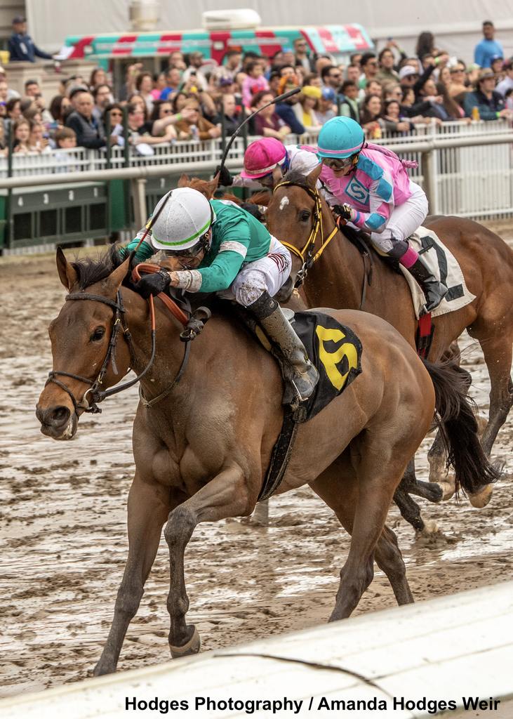 3/2/2024 - A G's Charlotte with Marcelino aboard wins the 48th running of the Red Camelia Stakes at Fair Grounds.  Hodges Photography / Amanda Hodges Weir