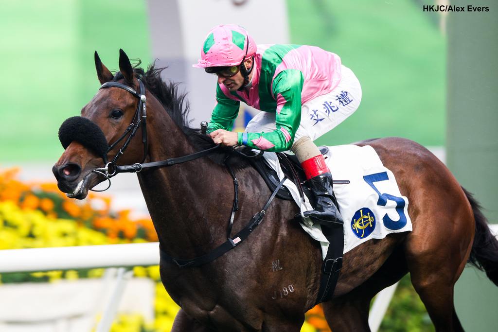 Aeroinvincible surges Pierre Ng to 50 wins this season (HKJC/Alex Evers)