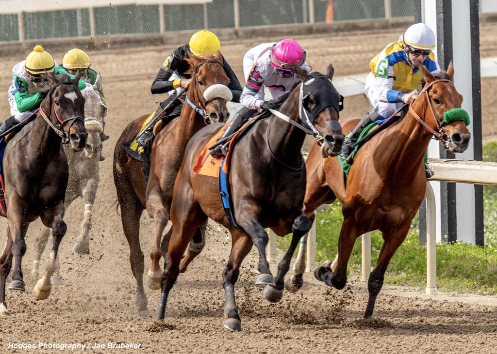 Behemah Star with J.A. Guerrero (pink cap) aboard turns for home and goes on to win the Star Guitar Stakes. (Hodges Photography/Jan Brubaker)