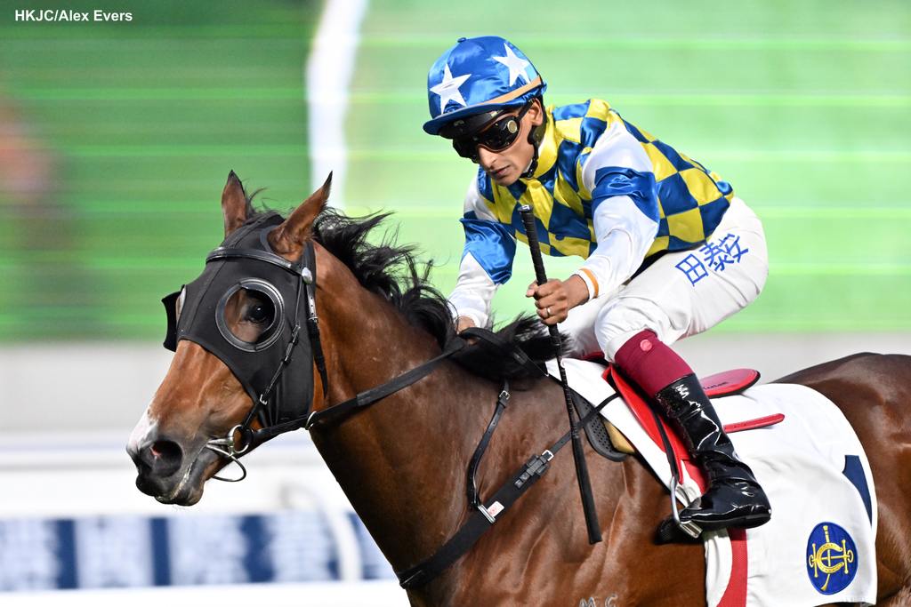 Galaxy Patch will chase a fifth win at Sha Tin on Sunday (3 March). (HKJC/Alex Evers)
