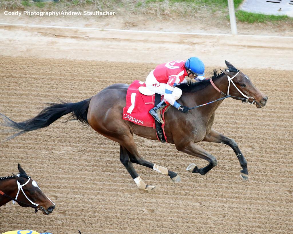 Kantax scores first stakes in the Downthedustyroad Breeders' Stakes. (Coady Photography/Andrew Stauffacher)