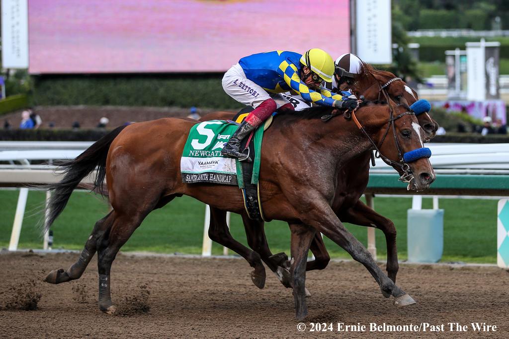 Newgate just getting up over Subsanador (ARG) in the Santa Anita Handicap. (Ernie Belmonte/Past The Wire)
