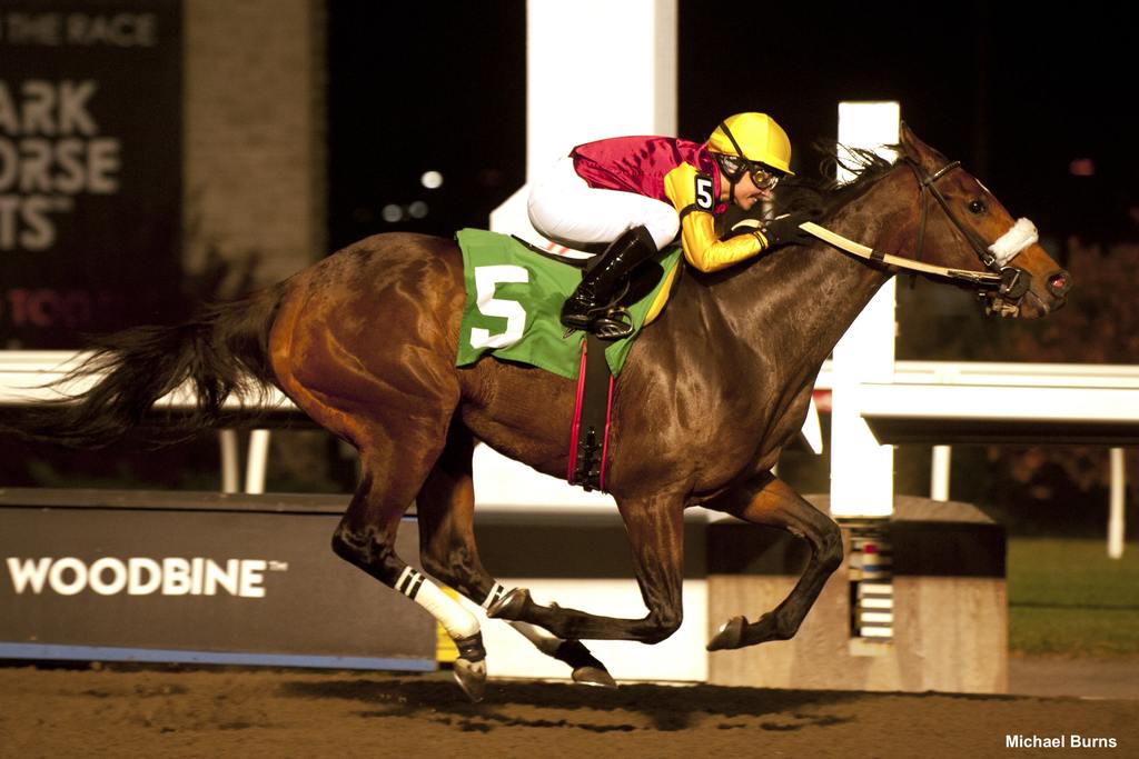 Sofia Vives winning her first race with Bodacious Miss in Race 7 on November 3, 2022, at Woodbine Racetrack (Michael Burns Photo)