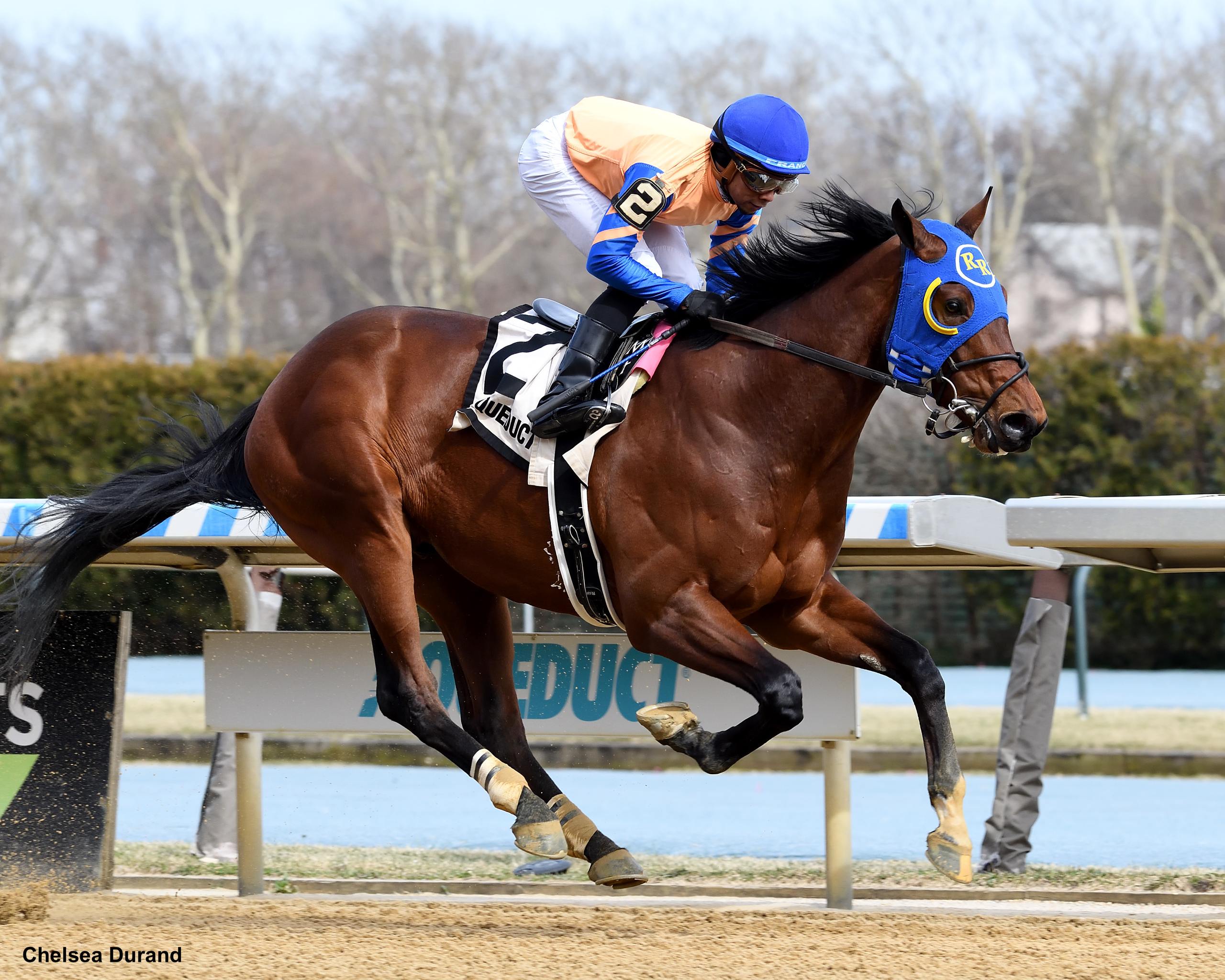 Antonio of Venice Back for More in NYSSS Times Square - Past The Wire