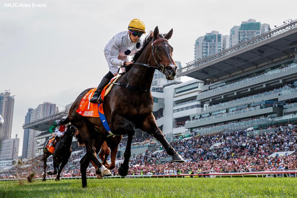 Golden Sixty chases a fourth consecutive victory in the FWD Champions Mile. (HKJC/Alex Evers)