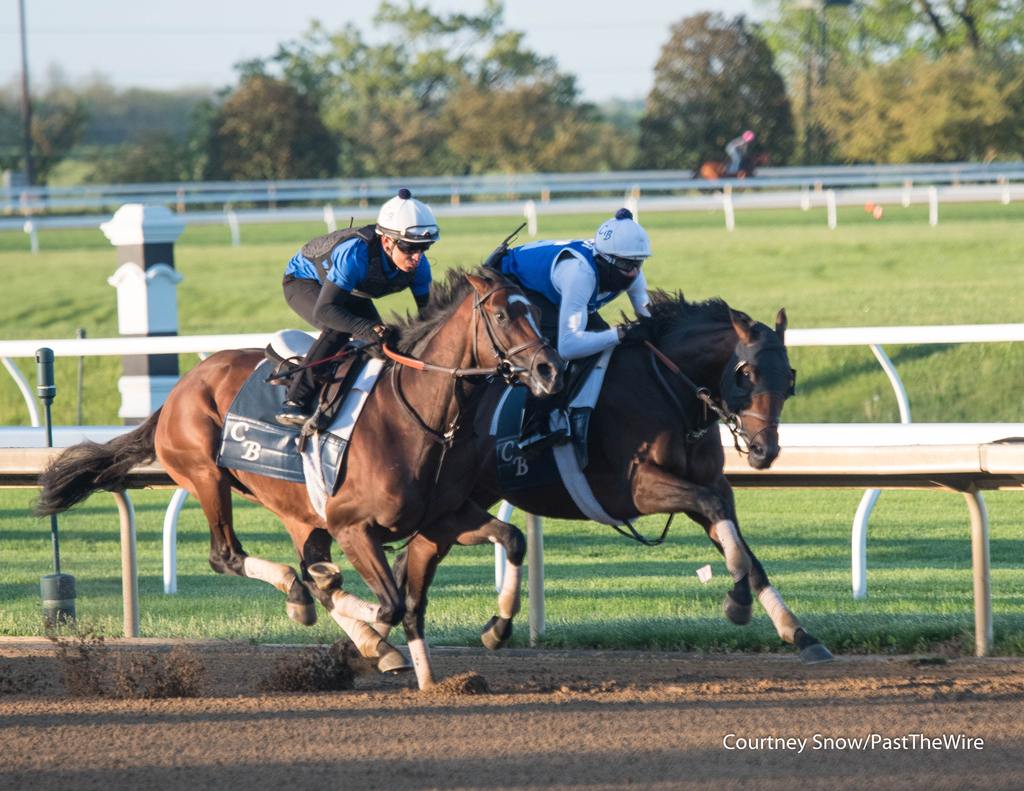Blue Grass (GI) winner Sierra Leone worked a half-mile in :48.80 Saturday morning at Keeneland. He’s scheduled to arrive at Churchill Downs in the coming days. (Courtney Snow/Past The Wire)