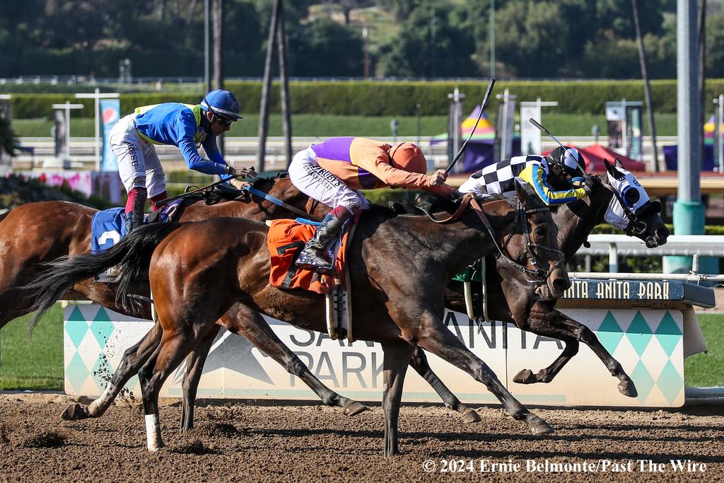 Coffee in Bed (#7) battles for the win in the Santa Maria. (Ernie Belmonte/Past The Wire)