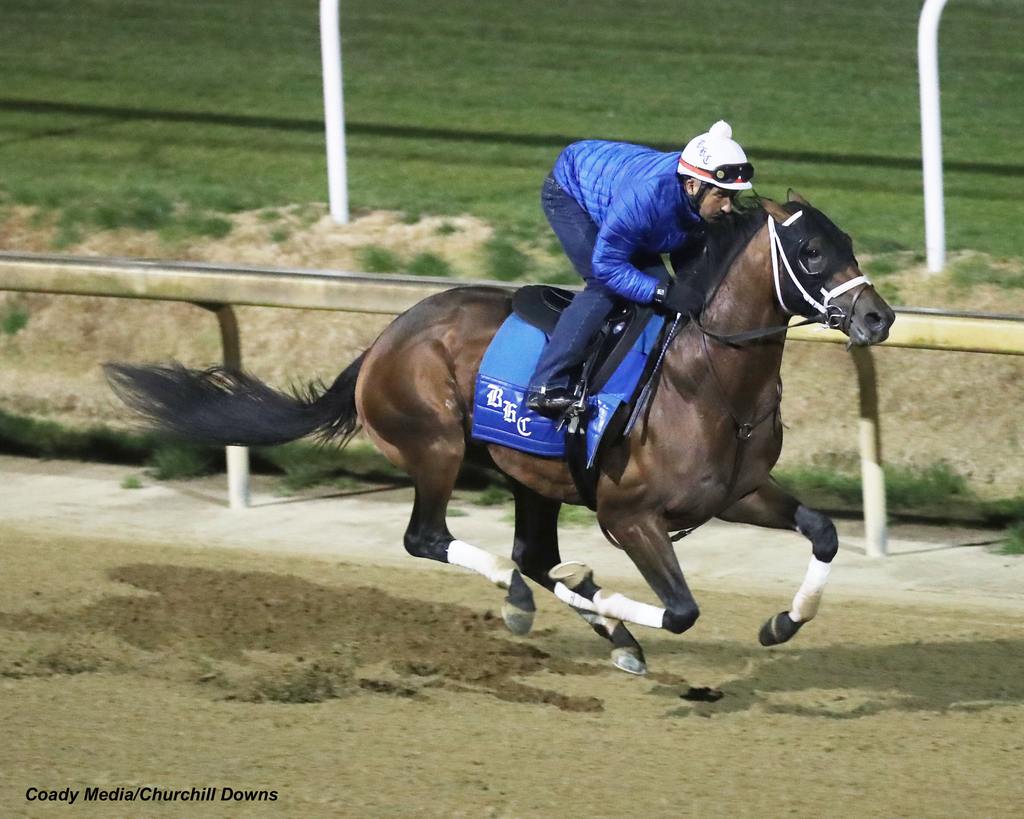 galloped a mile and a half during the 7:30-7:45 training. (Coady Media/Churchill Downs)