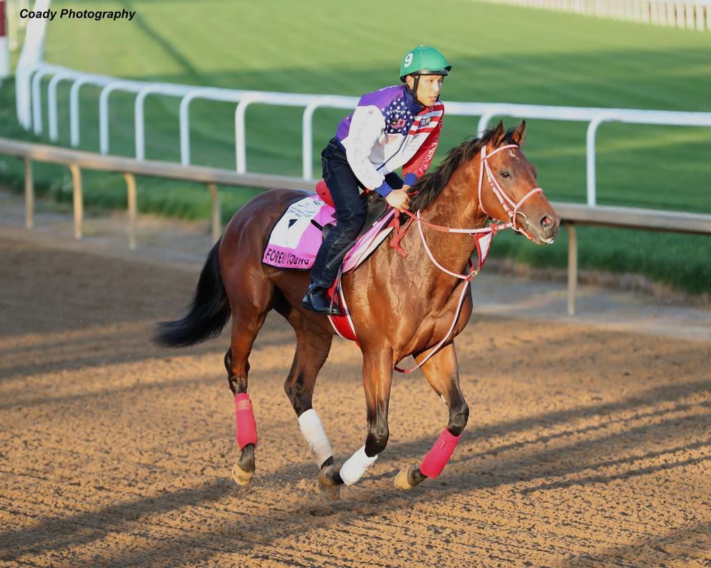 Forever Young gets his first look at Churchill Downs. (Coady Photography)