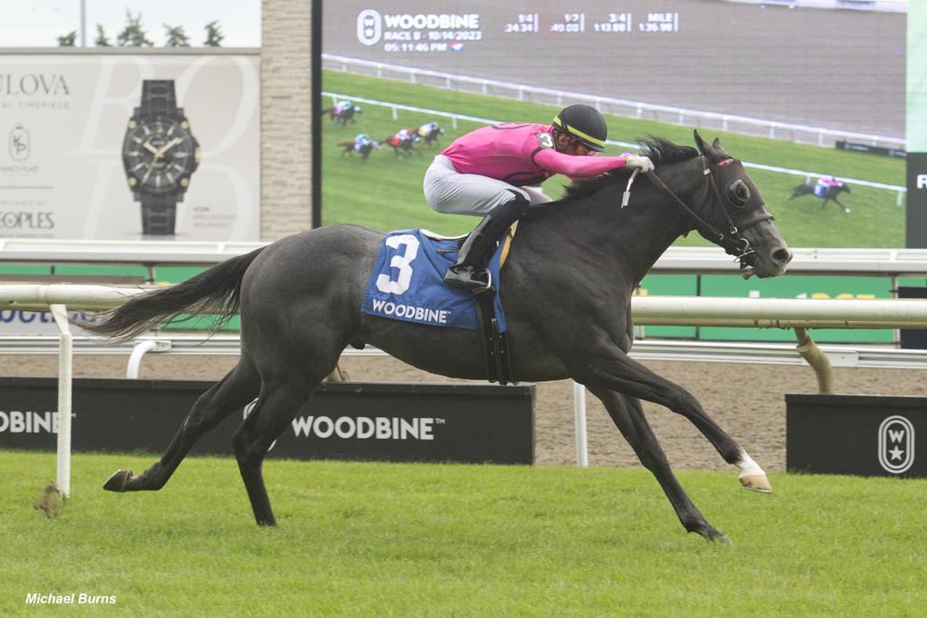 Toronto On.October 14, 2023.Woodbine Racetrack.Jockey Sahin Civaci guides My Boy Prince to victory in the 85th running of the $250,000 dollar Cup & Saucer Stakes.My Boy Prince covered the About 1Mi.1/16 in 1.43.1 over the E.P.Taylor turf course for owner Gary Barber and trainer Mark Casse.Woodbine/ Michael Burns Photo