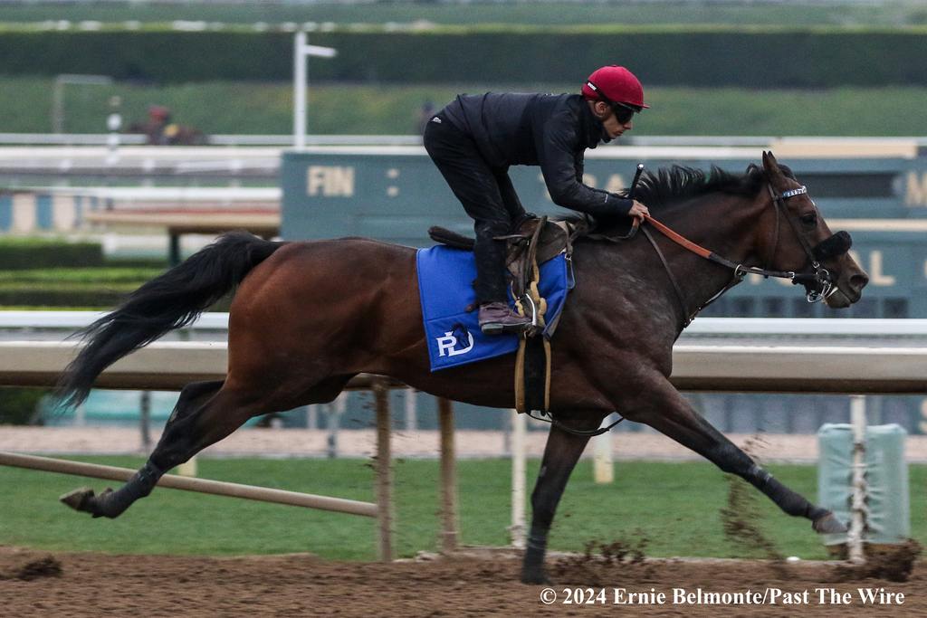 Stronghold ranking 1/71 on Saturday morning at Santa Anita. (Ernie Belmonte/Past The Wire)