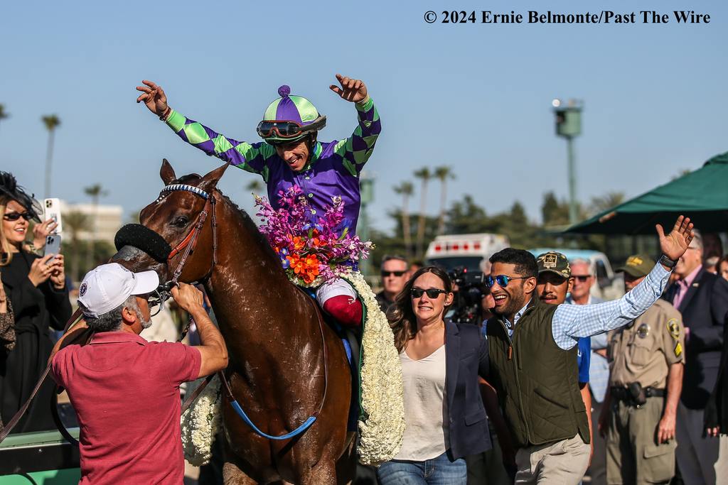 Connections celebrate. (Ernie Belmonte/Past The Wire)