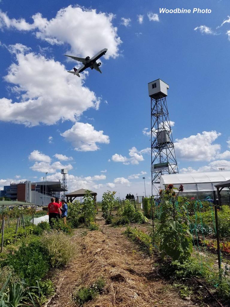 Woodbine Cares Community Food Garden (Woodbine Photo)