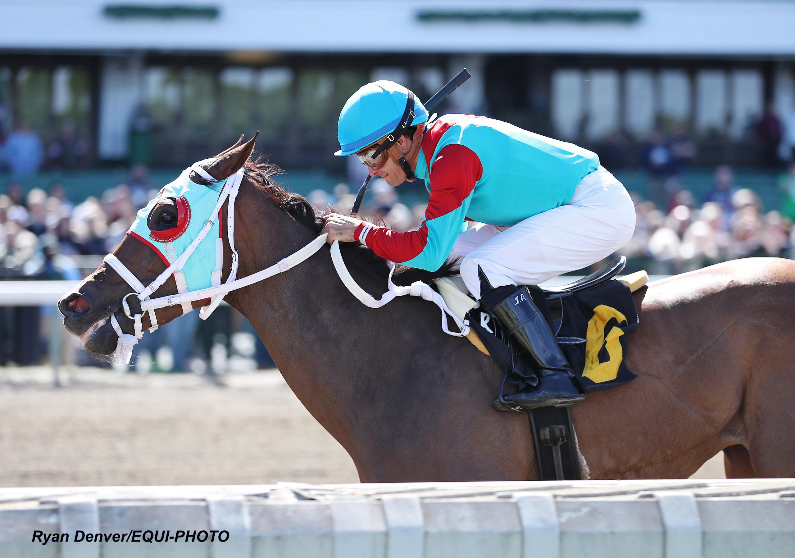 Nyra Bets Results 18 - a9m7mg4