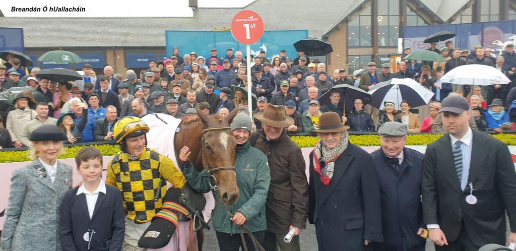 Boodles Champion Hurdle winner State Man with his successful connections. (Breandán Ó hUallacháin photo)