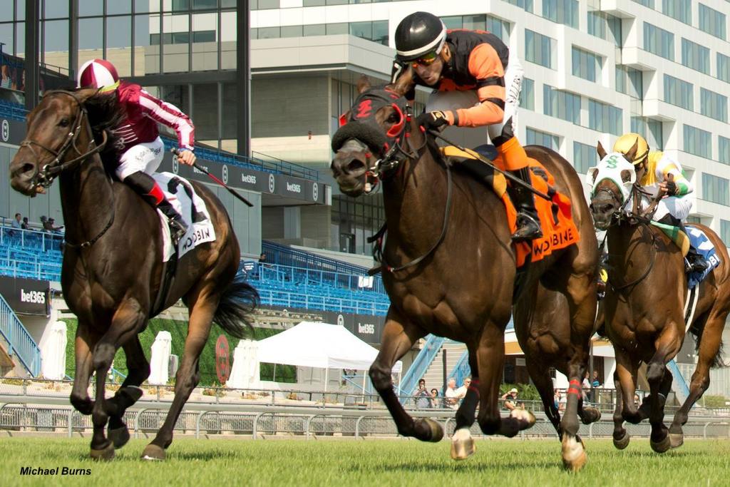 Canadiansweetheart and jockey Leo Salles winning the Sweet Briar Too Stakes on August 19, 2023, at Woodbine (Michael Burns Photo)
