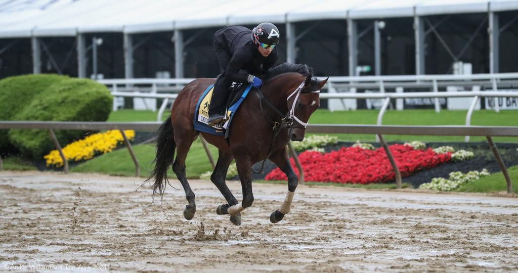 Catching Freedom Wednesday morning. (Anika Miskar/Past The Wire)