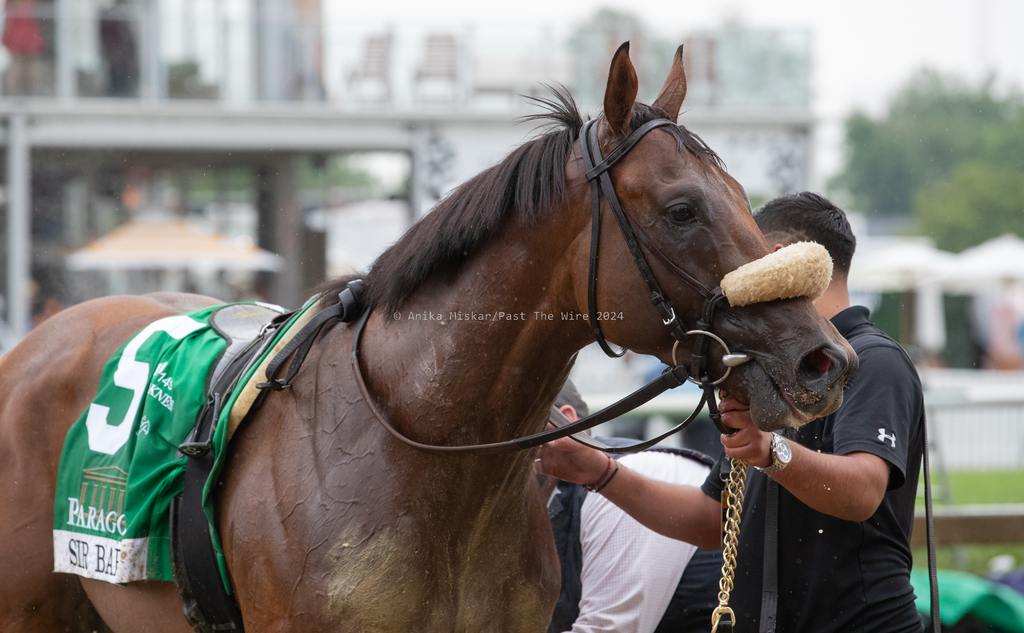 Corporate Power won the Sir Barton Stakes at Pimlico in May. (Anika Miskar/Past The Wire)