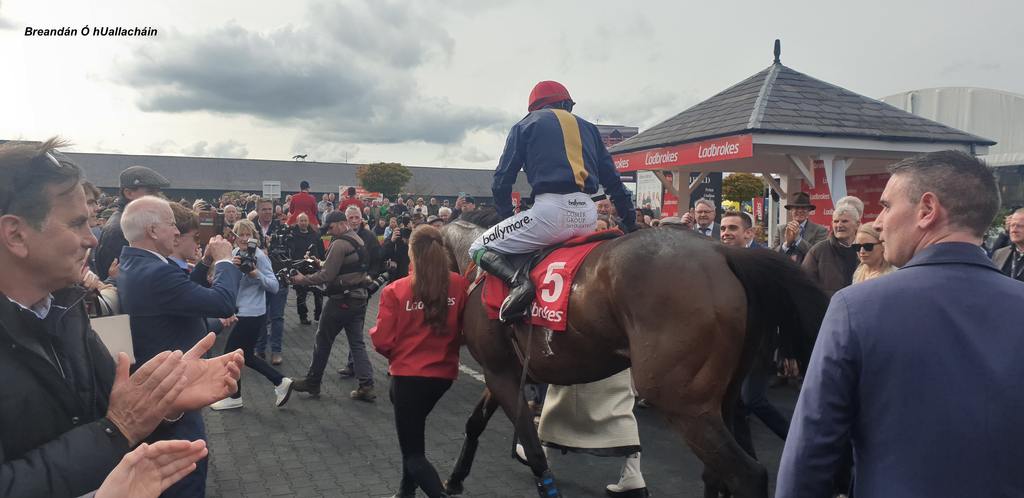 Fastorslow and J.J. Slevin return to the enclosure. (Breandán Ó hUallacháin photo)