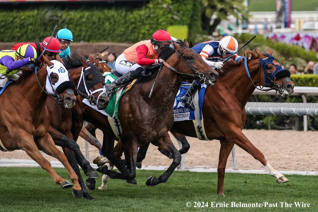 Gold Phoenix (inside) staves off stablemate Prince Abama. (Ernie Belmonte/Past The Wire)