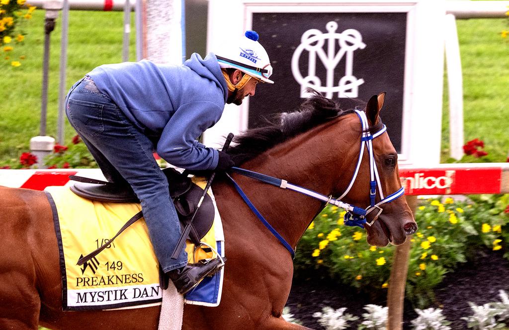 Mystik Dan training at Pimlico for the 149th Preakness after winning the 150th Kentucky Derby, Maryland Jockey Club Photo