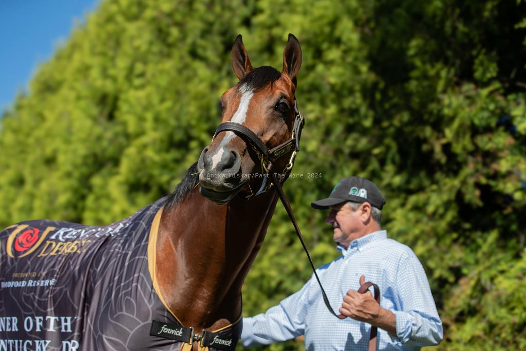 Mystik Dan looking casual and confident at Pimlico. (Anika Miskar/Past The Wire)