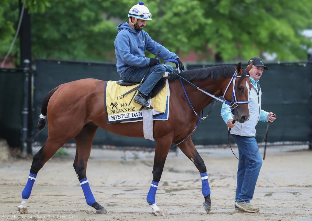 Mystik Dan and Robby Alborado out on th Pimlico track. (Anika Miskar/Past The Wire)