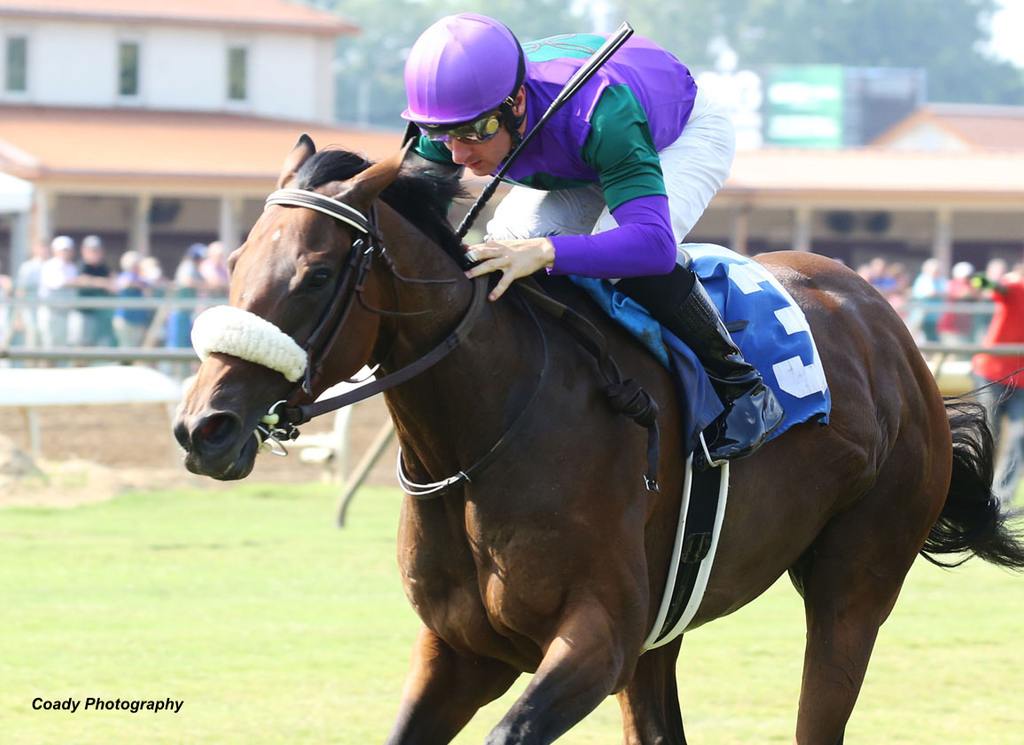 She'sonthewarpath takes the 2021 Kentucky Downs Preview Ladies Turf S. at Ellis Park. (Coady Photography)