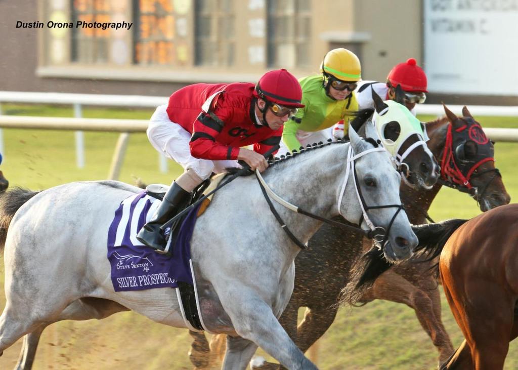 Steve Asmussen scored his fourth Texas Mile victory in 2022 with Silver Prospector. Dustin Orona Photography