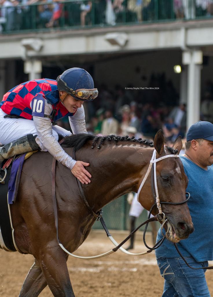 Gun Pilot with Cristian Torres up. (Jenny Doyle/Past The Wire)