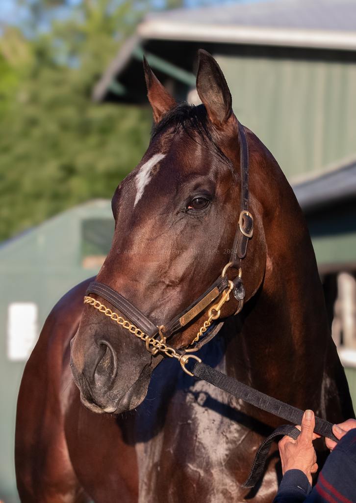 Uncle Heavy getting his post-work freshener. (Anika Miskar/PastTheWire)