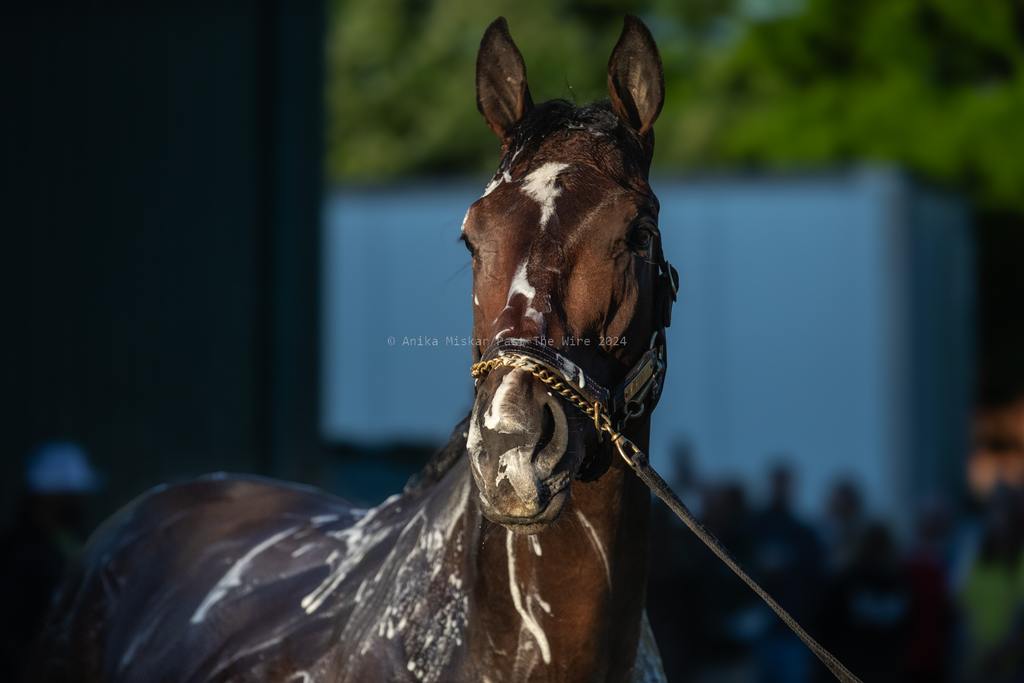 Uncle Heavy at his post-work bath. (Anika Miskar/Past The Wire)