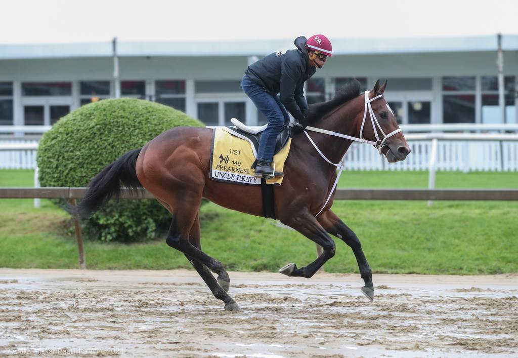 Uncle Heavy gets in a lilting gallop on the Pimlico Aqua Firma. (Anika Miskar/Past The Wire)