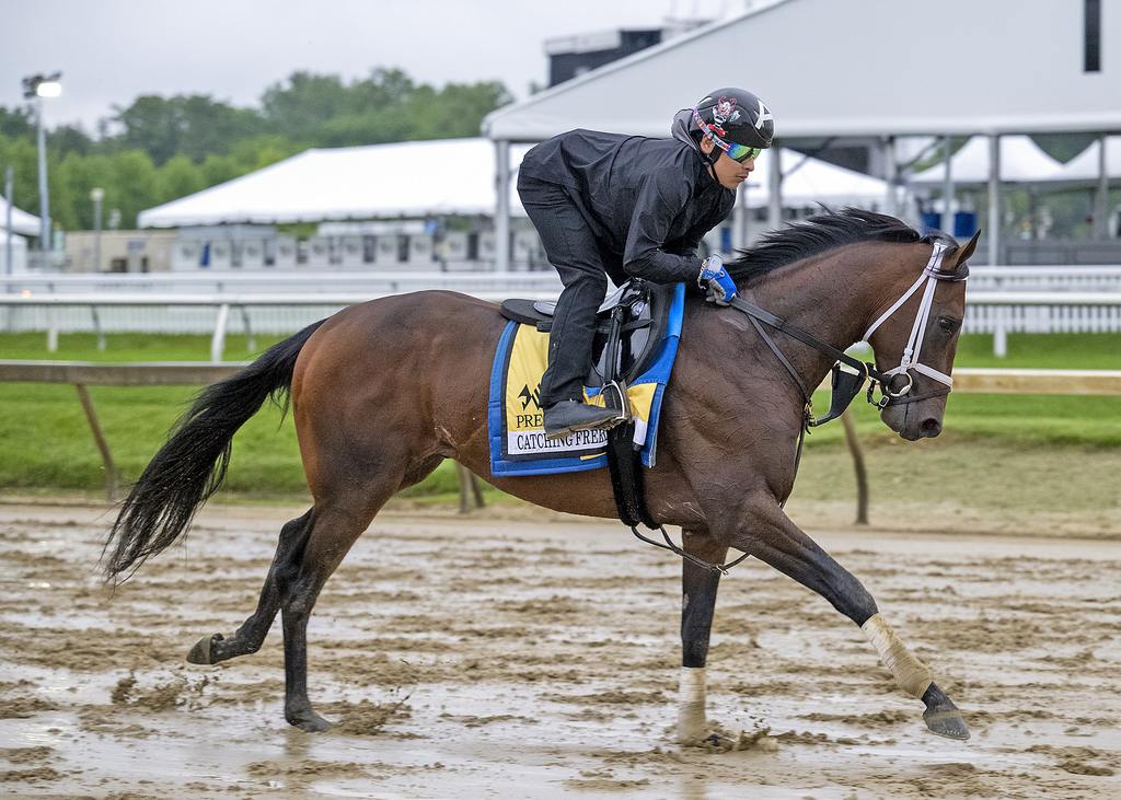 Catching Freedom training at Pimlico for The Preakness, Maryland Jockey Club Photo