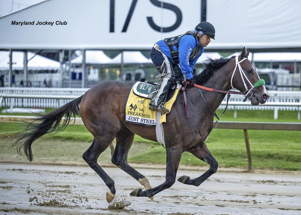 Just Steel looking focused. (Maryland Jockey Club)