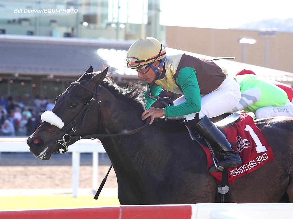 Stern Chaser #1 with Paco Lopez riding scores Black Type in the $100,000 Lyphard Stakes. (Bill Denver/EQUI-PHOTO)