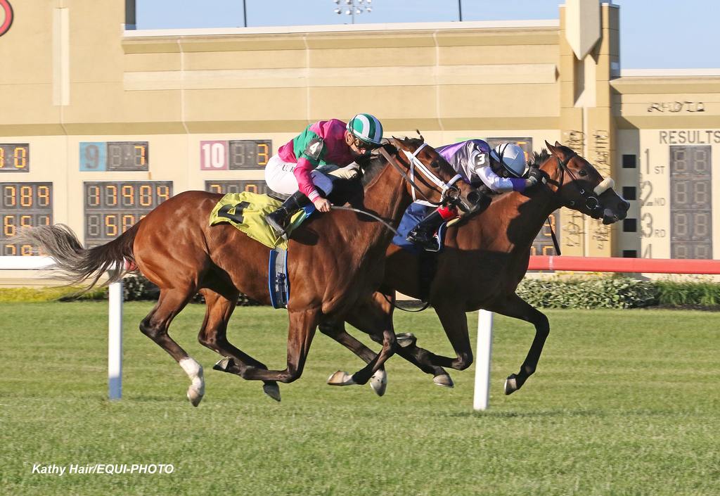 Poolside With Slim #3 with Frankie Dettori riding won the $150,000 Penn Oaks at Penn National Racecourse on Friday May 31, 2024.  Photo By Kathy Hair/EQUI-PHOTO