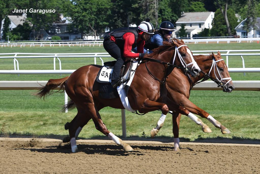 Antiquarian (outside) in a pre-Belmont breeze. (Janet Garaguso)