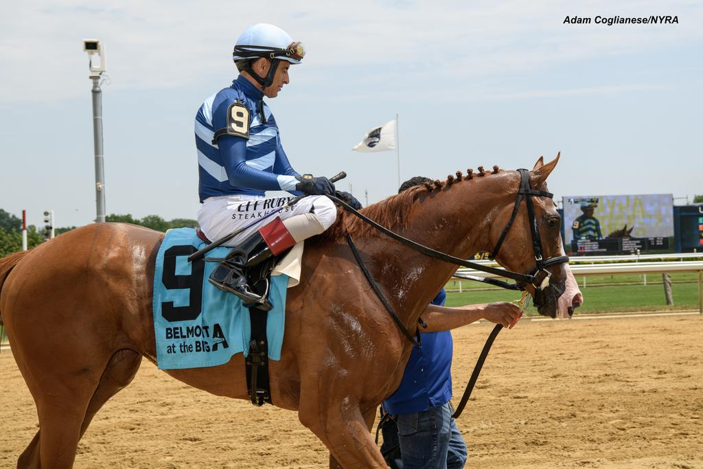 Complexion after victory. (Adam Coglianese/NYRA)