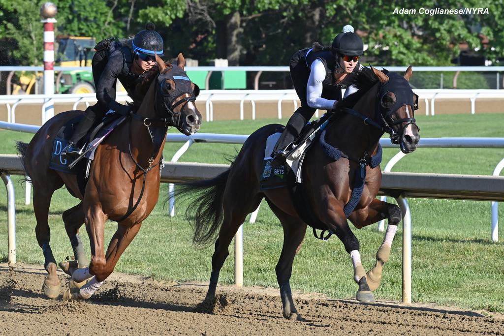 Dornoch (inside) works in company. (Adam Coglianese/NYRA)