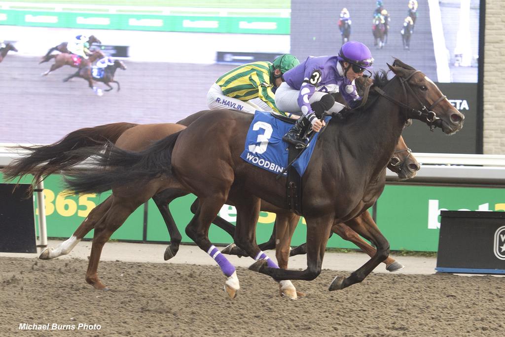 Emma-Jayne Wilson and Artie's Storm winning the Durham Cup Stakes on October 7, 2023, at Woodbine (Michael Burns Photo)