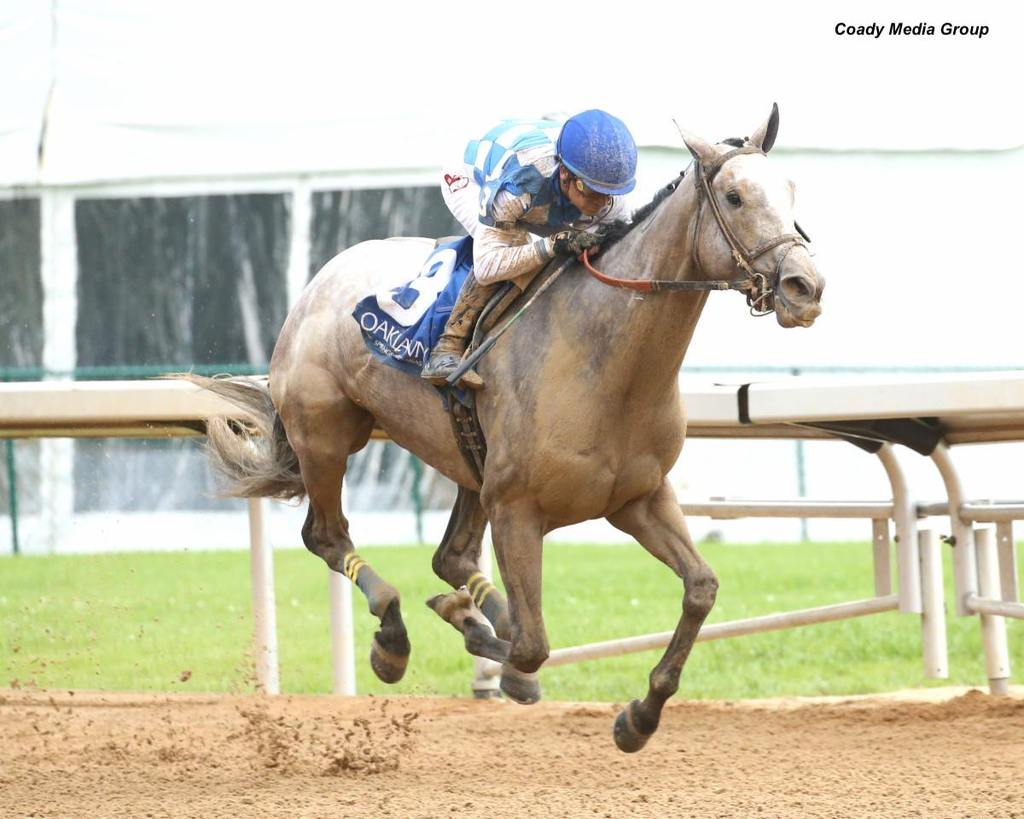 Hoosier Philly, shown winning the Dig A Diamond Stakes at Oaklawn Park. ( Coady Media Group)