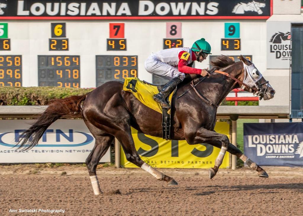Komorebino Omoide, shown winning a May 7 allowance race at Louisiana Downs. (Ann Switalski Photography)