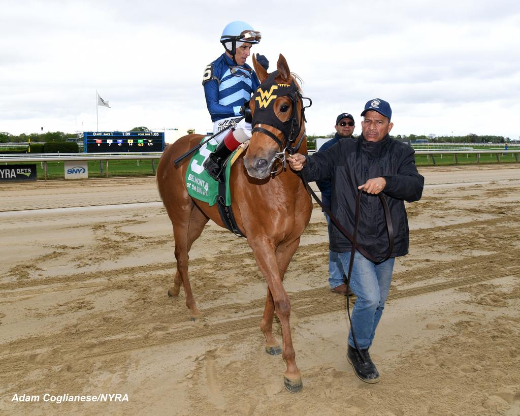 Phoebeinwonderland heads to the winner’s circle. (Adam Coglianese/NYRA)