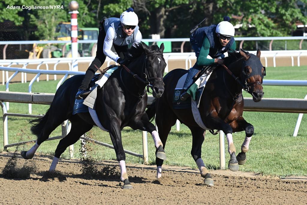 Sierra Leone (inside) works in company with Domestic Product. (Adam Coglianese/NYRA)