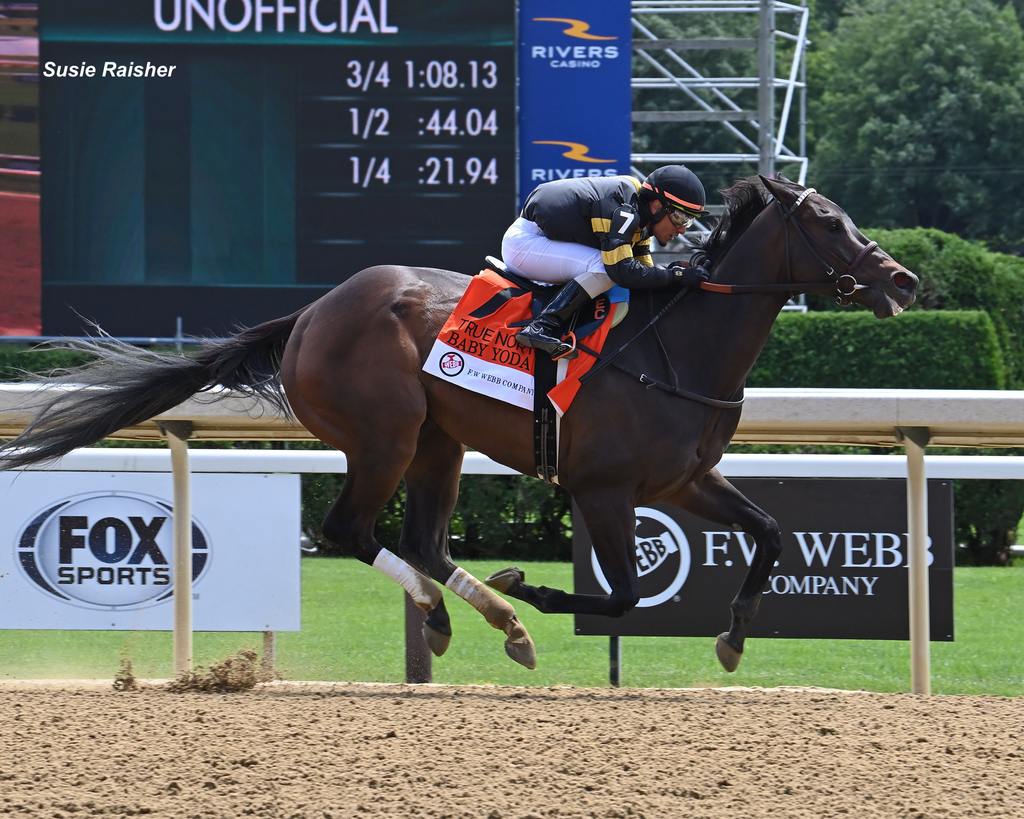 6-1 LC Racing’s Baby Yoda scored in the True North with Eric Cancel up for trainer Bill Mott. (Susie Raisher)