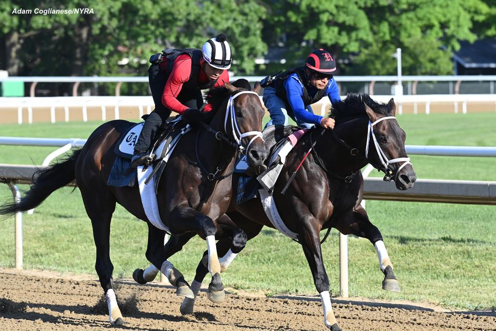Mindframe (outside) works in company. (Adam Cogilanese/NYRA)