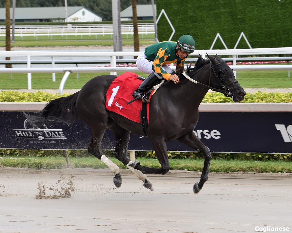 Dazzling Move breaks her maiden in the slop March 6 at Gulfstream Park (Coglianese)