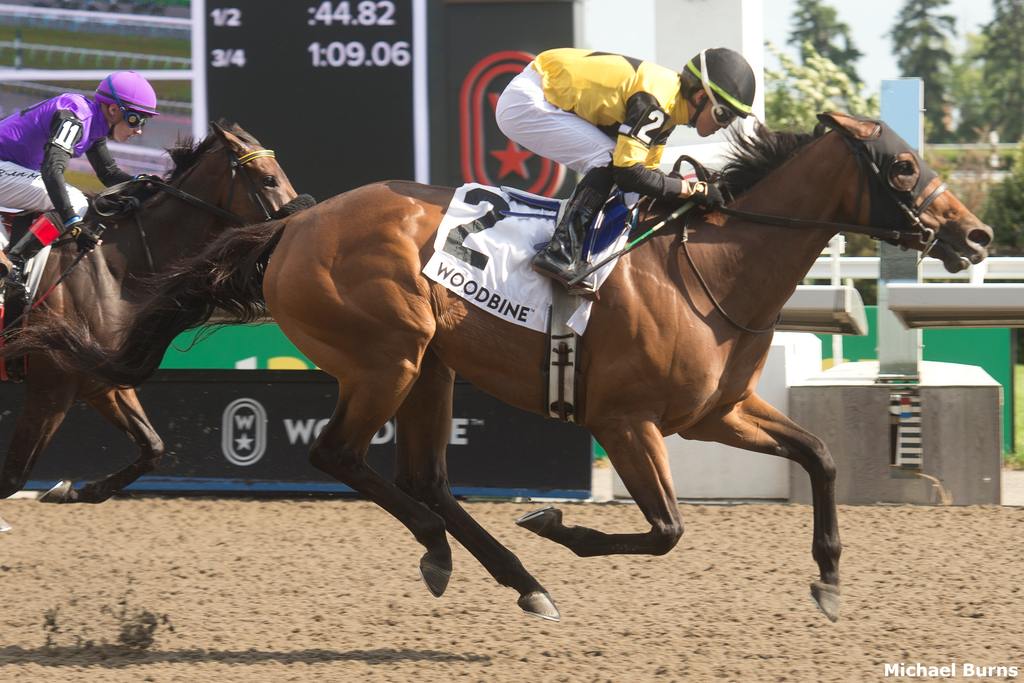 Gal In A Rush Powers To Victory In G3 Hendrie - Past The Wire